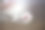 杏花素材图片