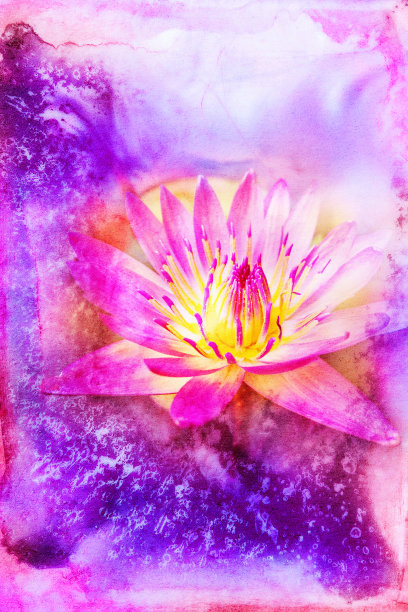 花水彩插图。图片下载