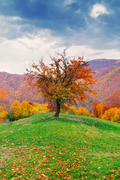 典型的比哈尔邦山地景观图片下载