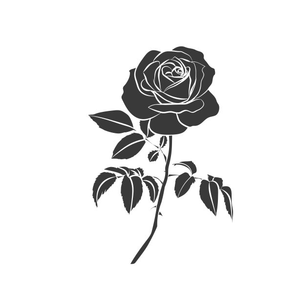 玫瑰花剪影素材图片