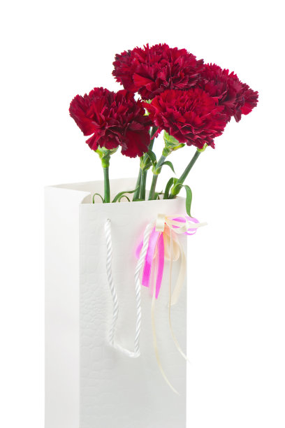 礼盒和花束从康乃馨花孤立的白色。图片下载