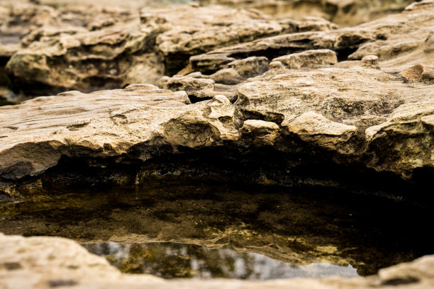 岩石上的水坑图片下载