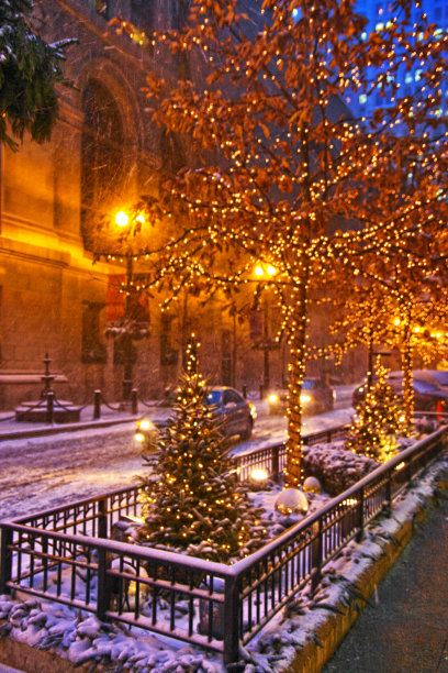 芝加哥的圣诞彩灯图片下载