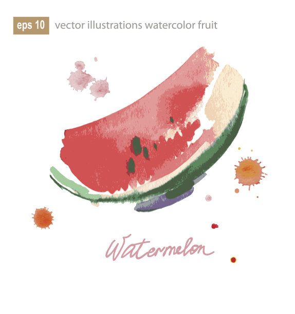 西瓜的水彩插图。没有透明度。梯度。图片下载