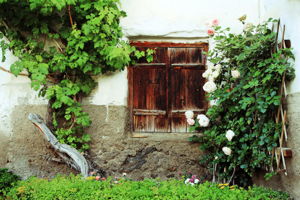 带有木制百叶窗的旧窗户图片下载