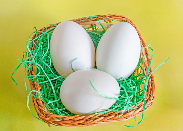 浅绿色的鸭蛋，褐色的草篓，黄色的底色图片下载