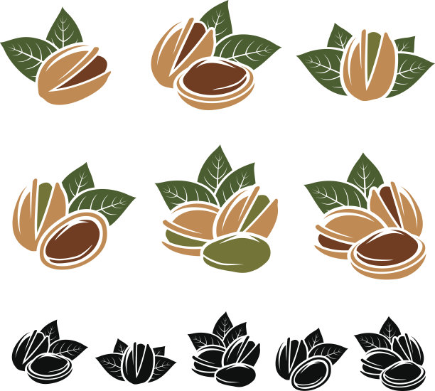 开心果。向量图片下载