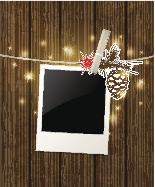 圣诞背景与照片和松树枝图片下载