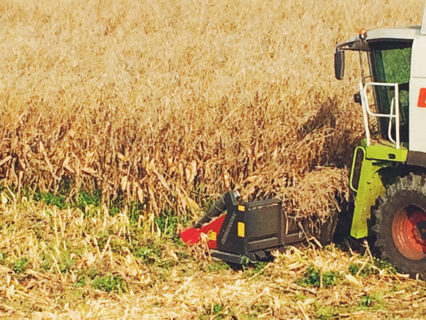 收割机在工作图片下载