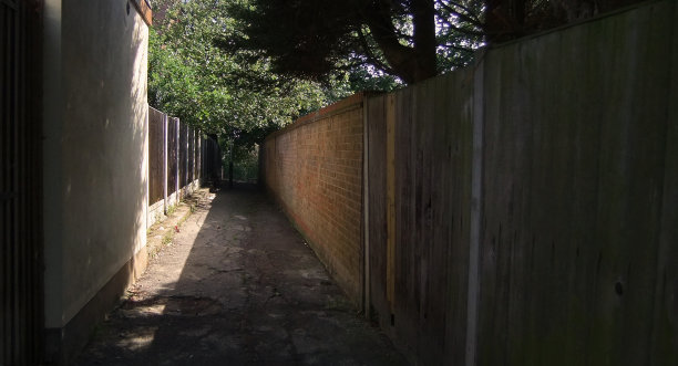 哈罗德伍德图片下载