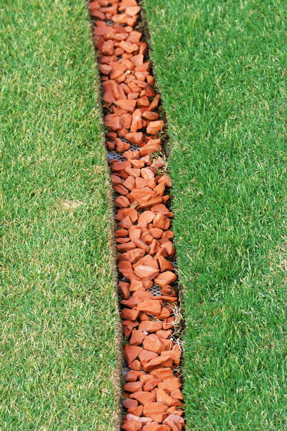 花园细节图片下载