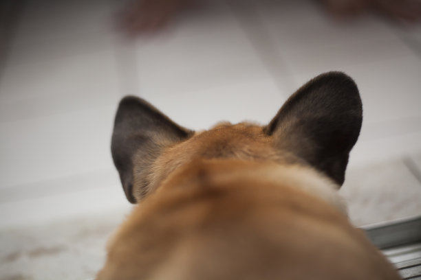 法国人图片下载