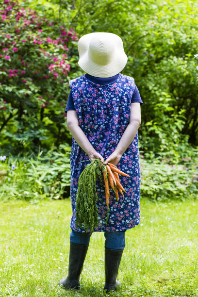 女人收获胡萝卜图片下载