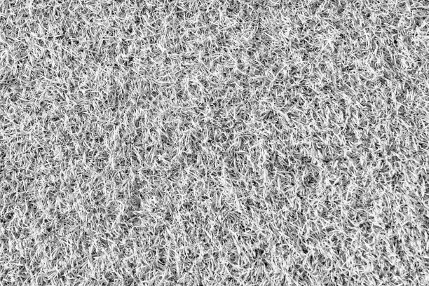 人工草地图片下载