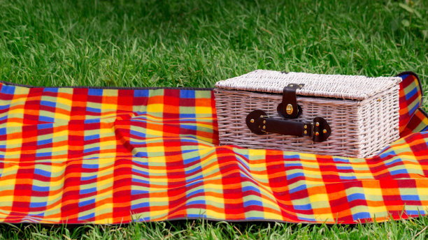 在草地上野餐。野餐篮子。图片下载