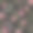 刺绣趋势花卉无缝图案与玫瑰和蝴蝶。素材图片