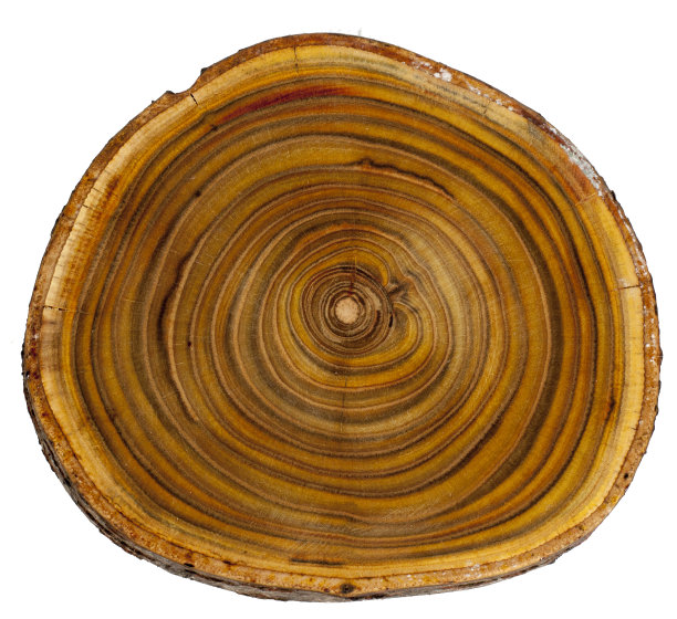 剪树邮票背景图片下载