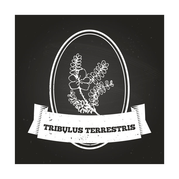 健康与自然收藏图片下载