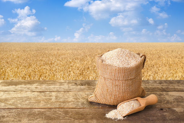 麦麸在袋子和成熟的土地图片下载