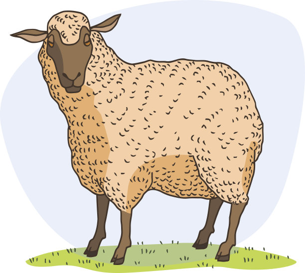 羊画图片下载