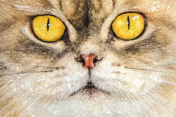 几何多边形猫肖像图片下载