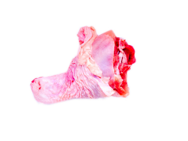 鸡冻。图片下载