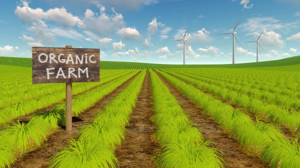 自然生态农田和风力涡轮机图片下载