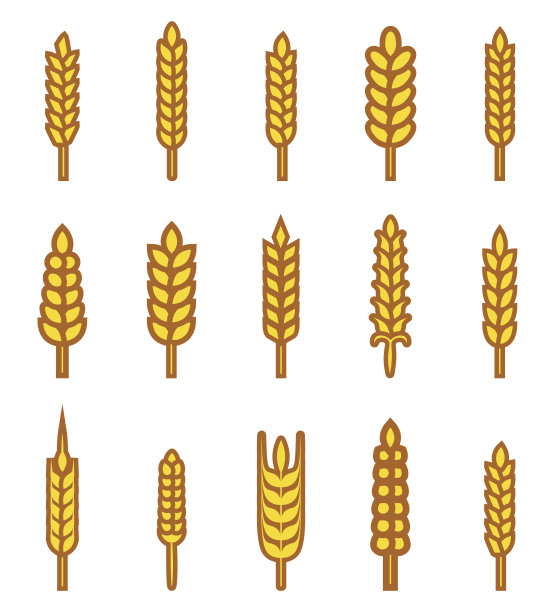 小麦穗是面包的象征。图片下载