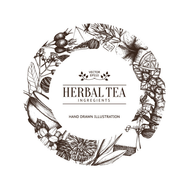 复古卡片设计与手绘茶素描。素材图片
