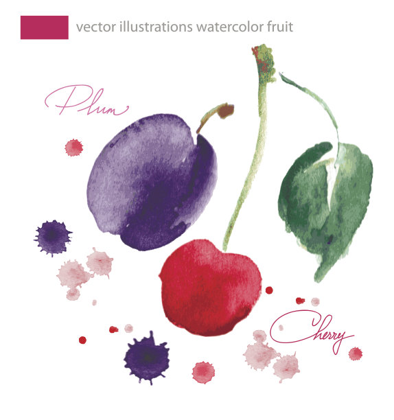 向量水彩图像樱桃和加飞溅图片下载