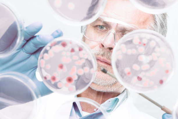 高级生命科学研究员嫁接细菌。图片下载