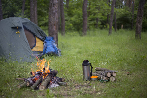 在树林里露营。图片下载