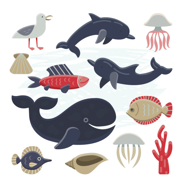 海洋生物图片集素材图片