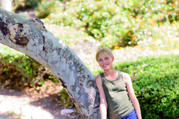 躺在树图片下载