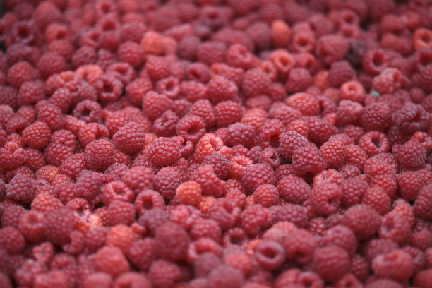 许多覆盆子背景图片下载