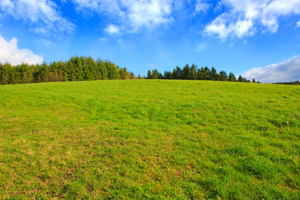 绿草如茵，蓝天碧水图片下载