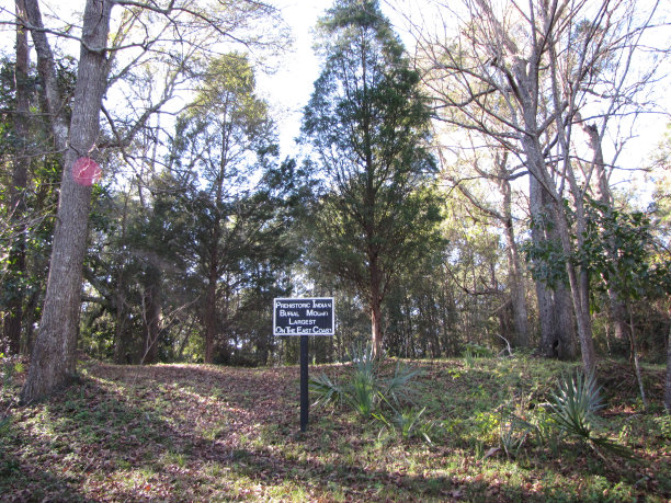 种植园的理由图片下载