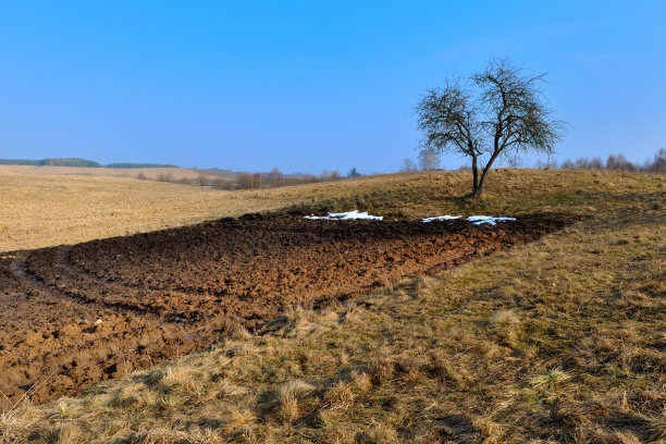 春天的领域图片下载
