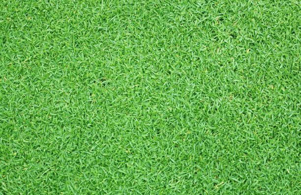 草地背景高尔夫球场绿色草坪格局图片下载