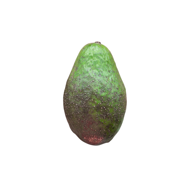 白色背景上的牛油果图片下载