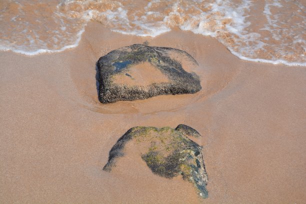 沙滩上的岩石图片下载