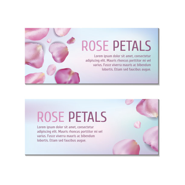 玫瑰花瓣横幅图片下载