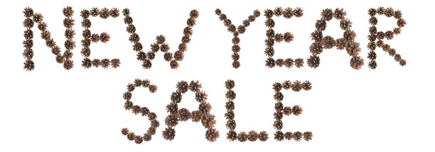 新年销售用语由松果制成图片下载