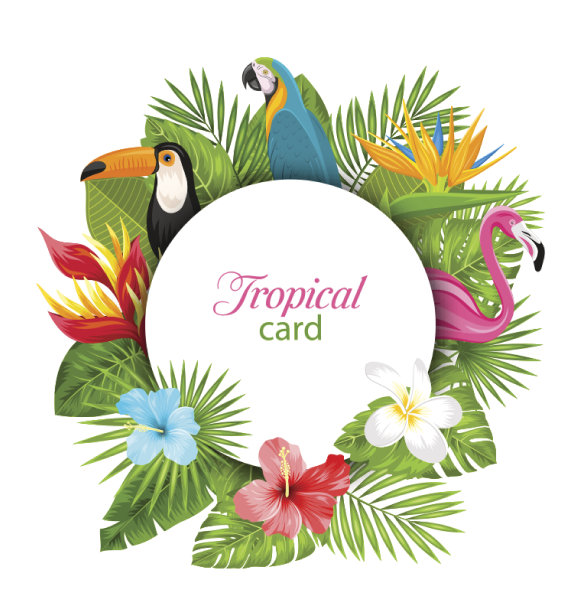 夏日卡片与热带植物，木槿，鸡蛋花，火烈鸟，鹦鹉，巨嘴鸟图片下载