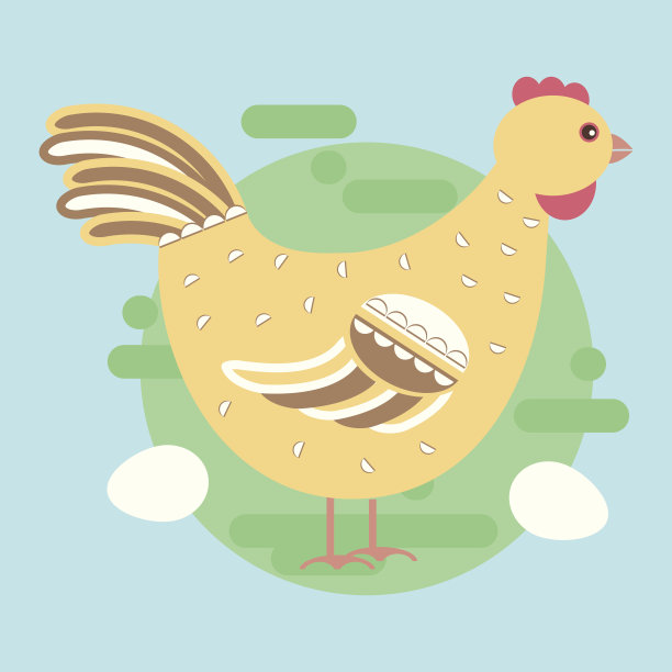 鸡尾鸡图片下载