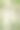 夏天在阳光明媚的桦树林中图片下载