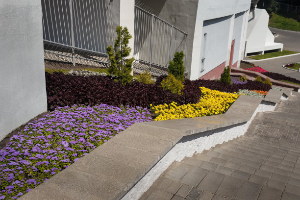 一个公共公园。图片下载