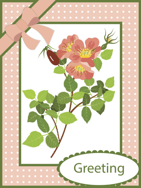 贺卡盛开的野玫瑰图片下载