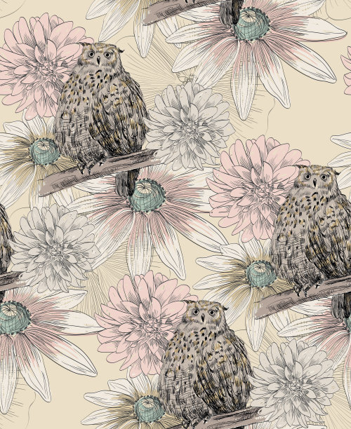 猫头鹰素描素材图片