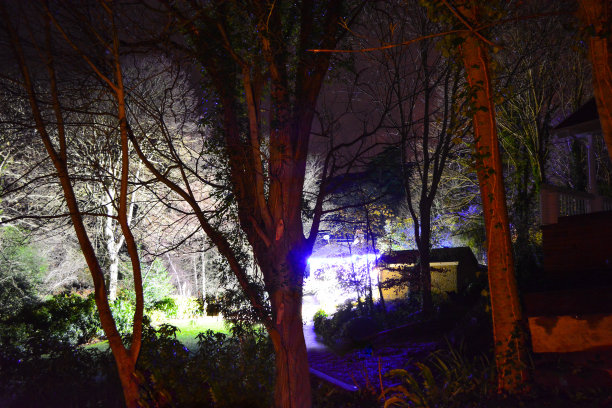 灯光树与花园图片下载